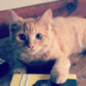 Meet your Posher, Karisa